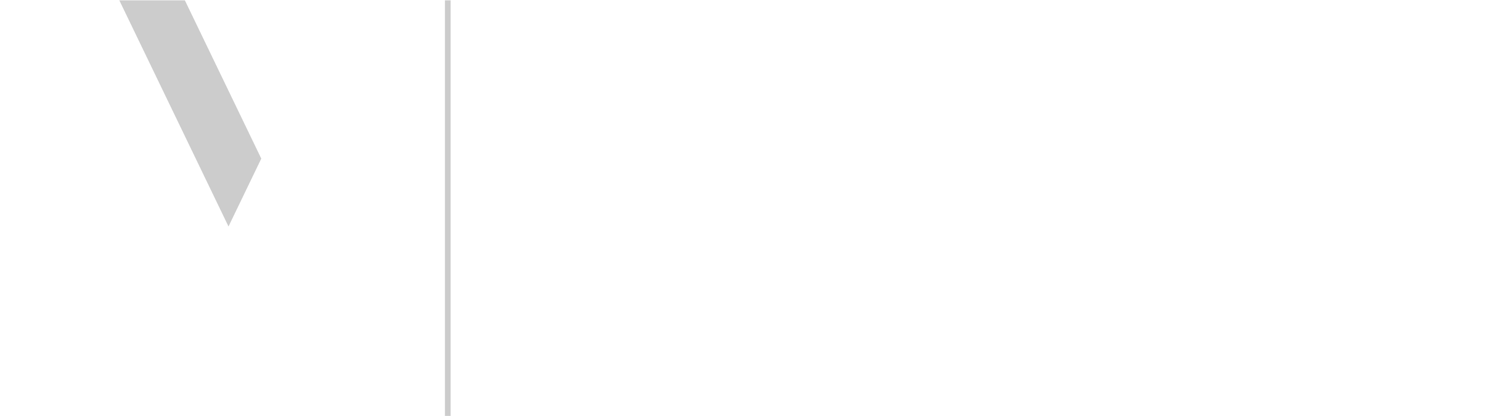 Online Veteran Logo weiss